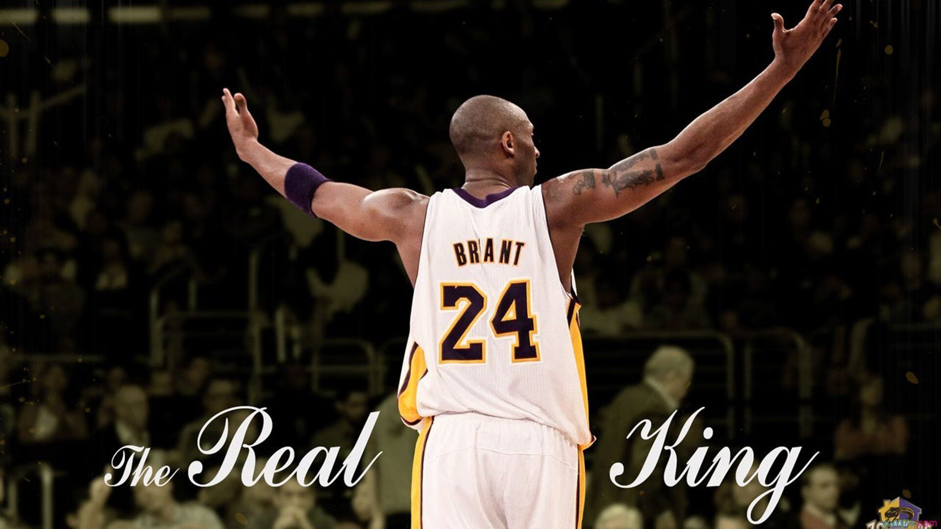 综合体育系“创新游戏设计比赛” 体能练习被改造成趣味比赛